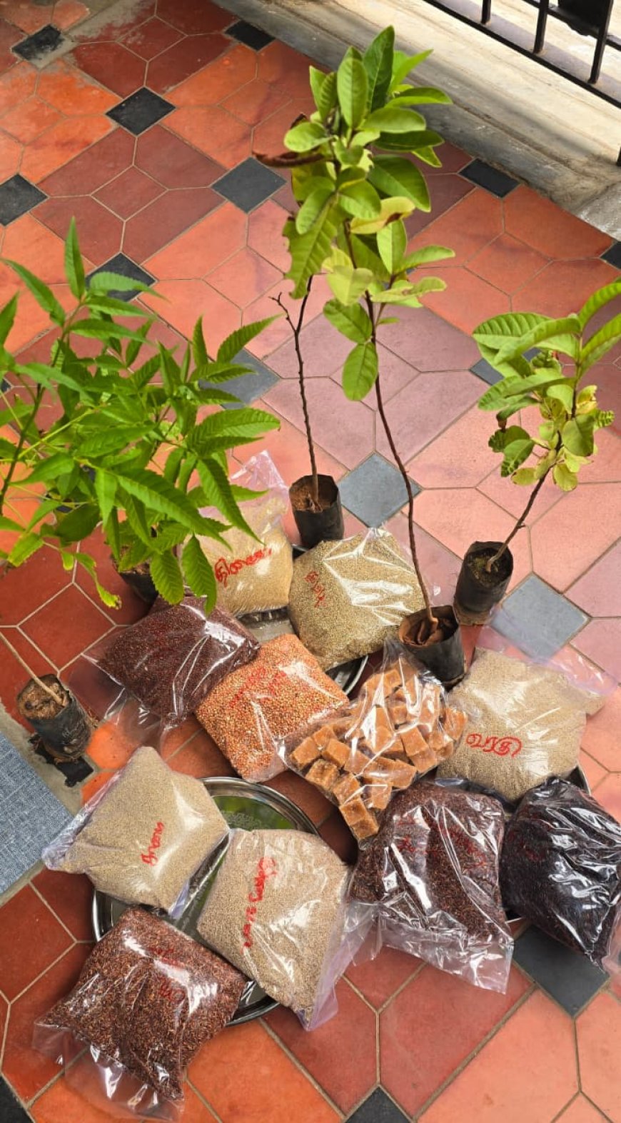 புதுமனை புகுவிழாவில் வித்தியாசமான மற்றும் ஆரோக்கியமான முறையில் நம் பாரம்பரியத்தை போற்றும் வகையில் இருந்தது.