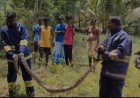 திருச்சி அருகே 10 அடி நீளம் கொண்ட மலை பாம்பு கிராமத்தில் புகுந்ததால் பரபரப்பு