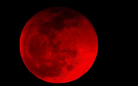 இன்று வானில் தோன்றும் அதிசய சந்திர கிரகணத்தை வெறும் கண்களால் பொதுமக்கள் காணலாம் சந்திர கிரகணத்தை பார்ப்பதற்கு திருச்சி கோளரங்கத்தில் சிறப்பு ஏற்பாடு 