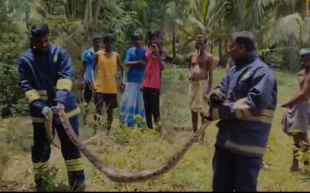 திருச்சி அருகே 10 அடி நீளம் கொண்ட மலை பாம்பு கிராமத்தில் புகுந்ததால் பரபரப்பு