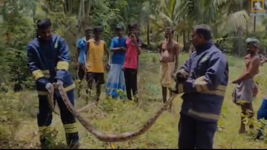 திருச்சி அருகே 10 அடி நீளம் கொண்ட மலை பாம்பு கிராமத்தில் புகுந்ததால் பரபரப்பு