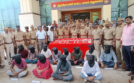 திருச்சியில் ரூ.11 கோடி மதிப்பிலான தங்க நகைகளை கொள்ளைடித்த 12 பேர் கைது -  தங்க நகைகளை  எஸ்.பி.தலைமையிலான தனிப்படையினர் மீட்டனர்