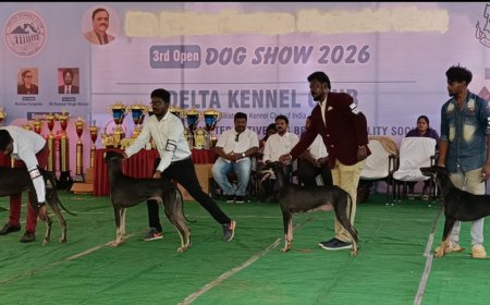 *திருச்சியில் டெல்டா கேனல் அமைப்பு சார்பில் சிவி சுதர்சன் நினைவை முன்னிட்டு இந்திய இன சிறப்பு நாய்கள் கண்காட்சி நடைபெற்றது*