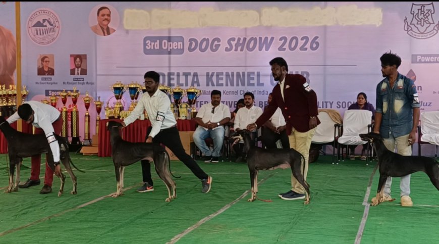 *திருச்சியில் டெல்டா கேனல் அமைப்பு சார்பில் சிவி சுதர்சன் நினைவை முன்னிட்டு இந்திய இன சிறப்பு நாய்கள் கண்காட்சி நடைபெற்றது*